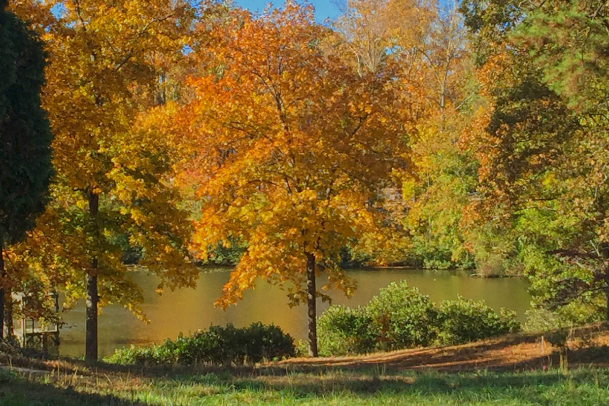 Lake Margaret The Highlands Chesterfield VA